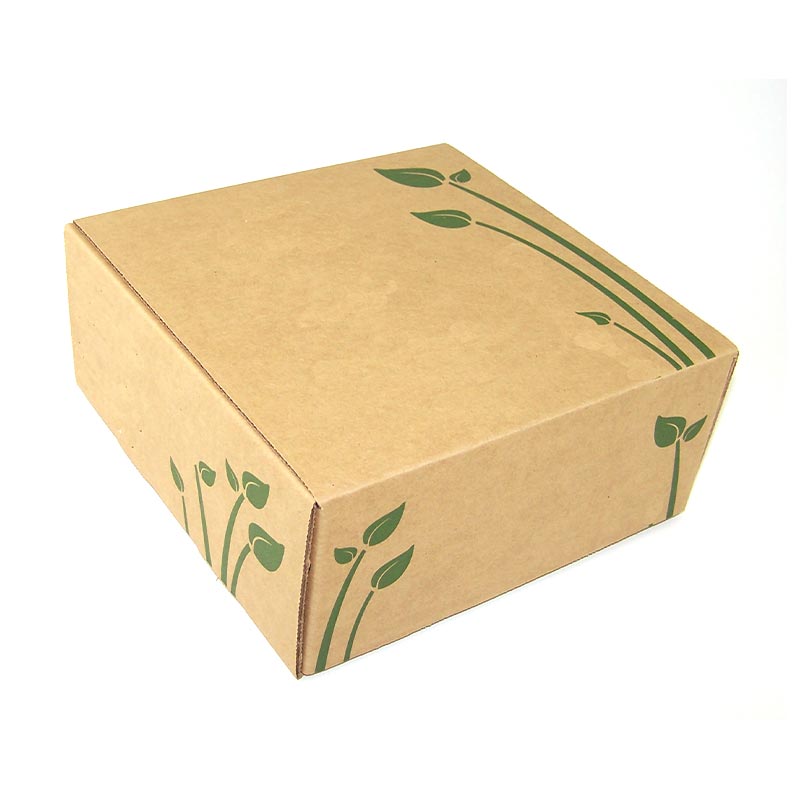 6.Kraft Shipping Box